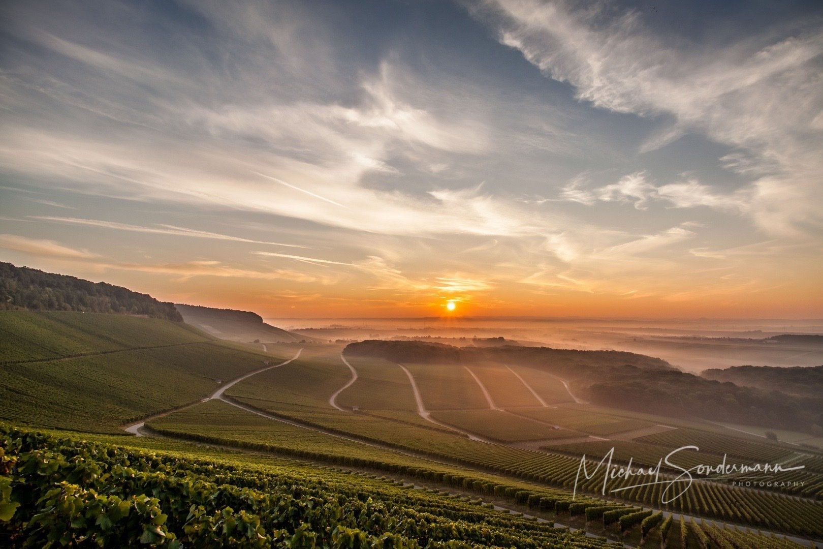 Ein Blick auf einen Sonnenuntergang an den Weinbergen in der Nähe von Stuttgart.
