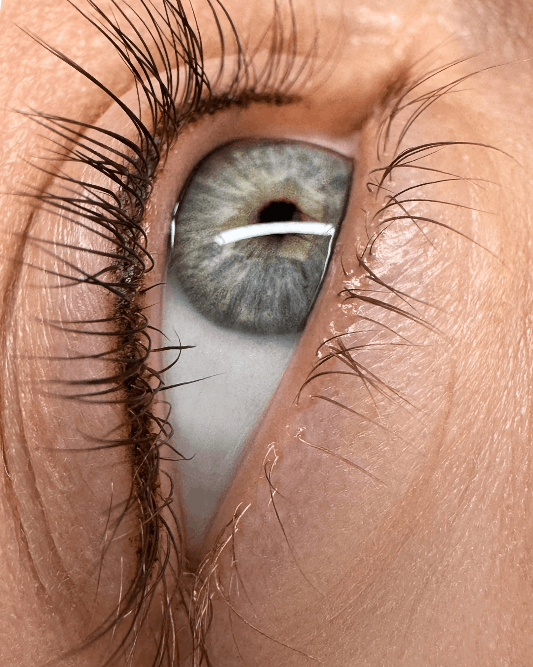 Close-up of a human eye with grey-blue iris and long, dark eyelashes. — Artisan Cosmetic Tattoo & Beauty in Worongary, QLD