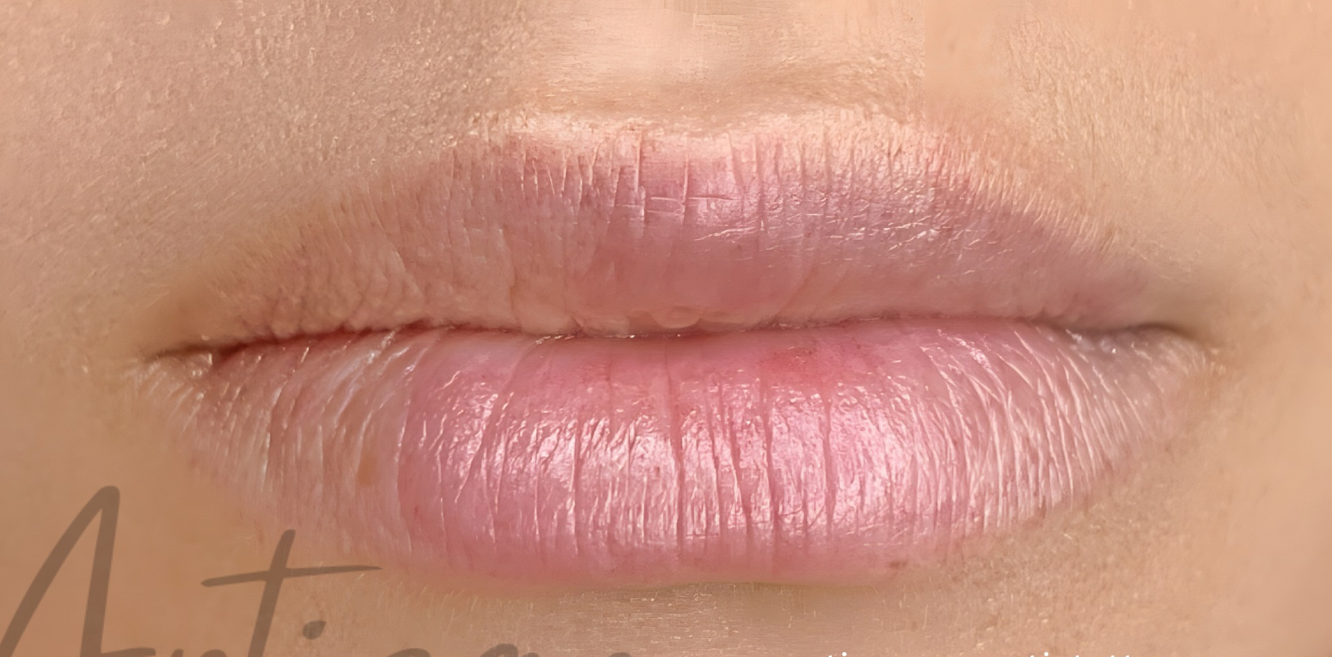 Close-up of Human Lips, Pale Pink — Artisan Cosmetic Tattoo & Beauty in Worongary, QLD