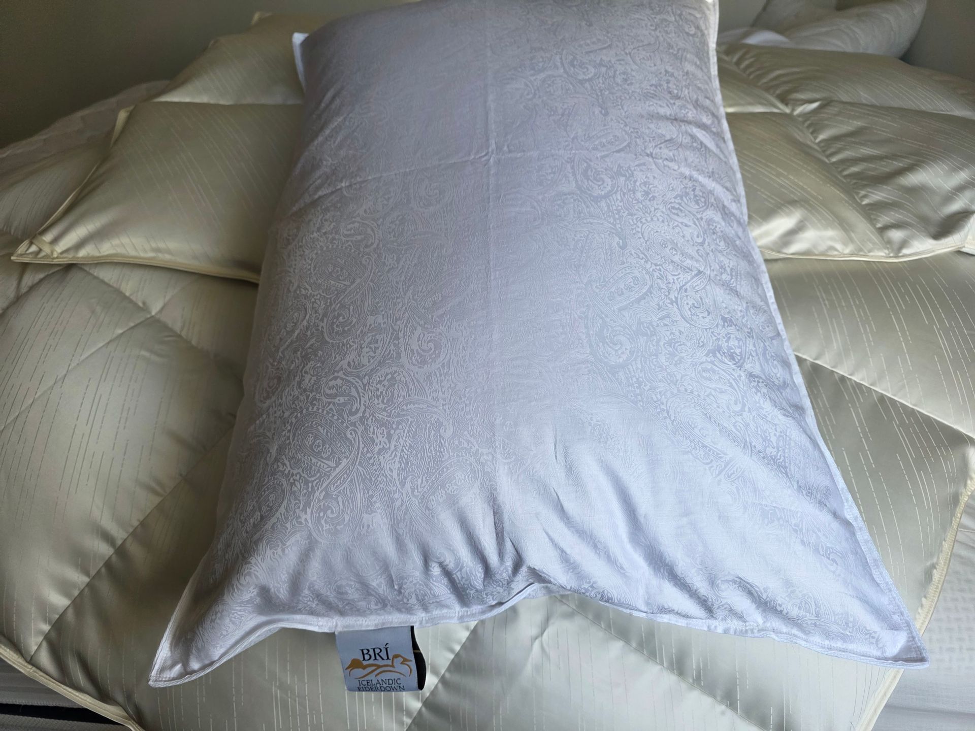 White rectangular pillow on a bed with light-colored bedding.