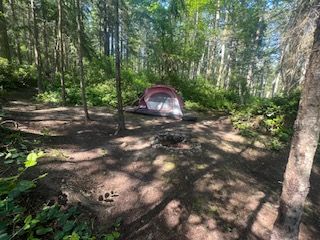 A tent is sitting in the middle of a forest next to a fire pit.