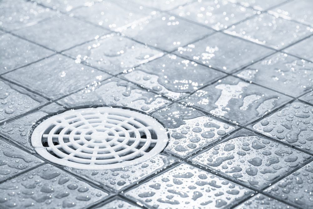 A Drain on a Tiled Floor With Water Drops on It — Tony Brown Plumbing & Gas Services in South Grafton, NSW
