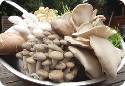 Fresh Produce - Middlesbrough - C & S SUPPLIES - Mushroom