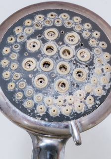 hard water on shower heads can be helped with a water softener