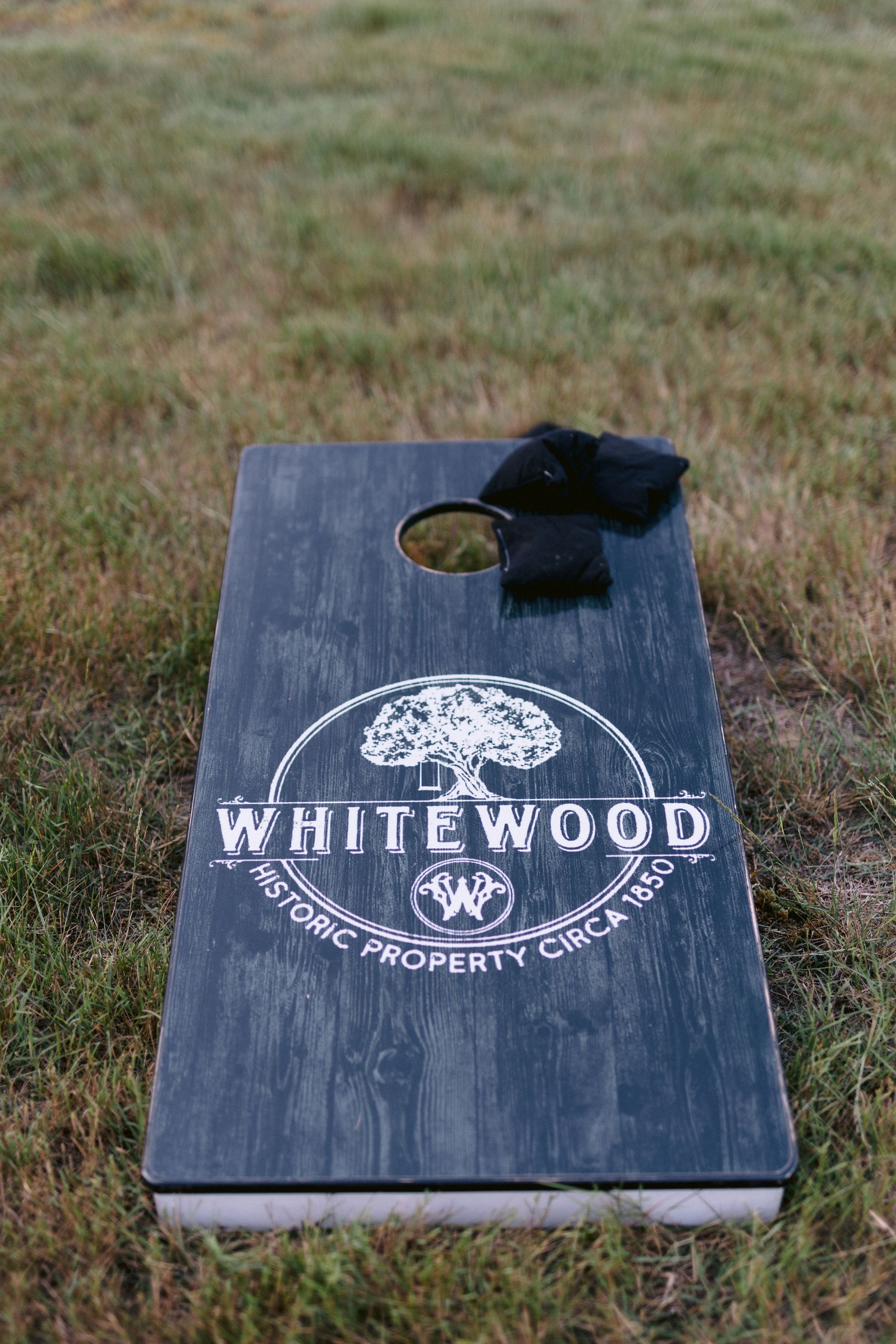 CORNHOLE-BOARDS-INCLUDED