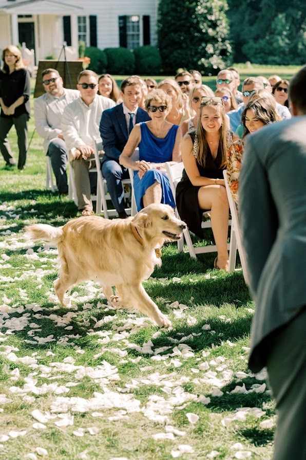A dog is running down the aisle at a wedding.