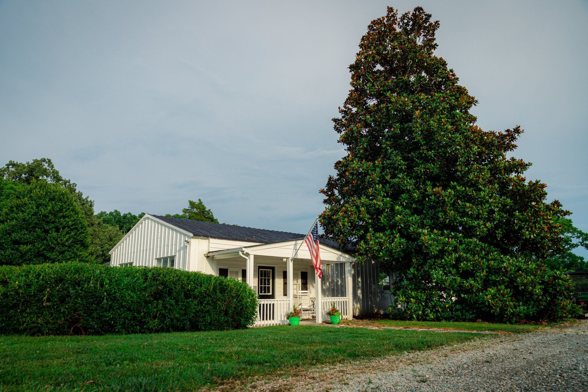 A white house with a large tree in front of it.