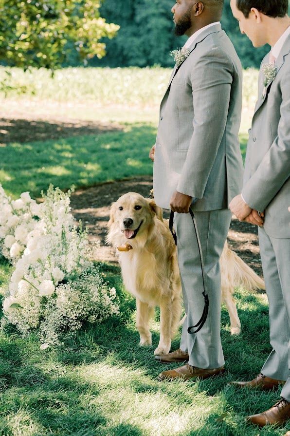 A groom and his groomsmen are standing next to a dog on a leash.