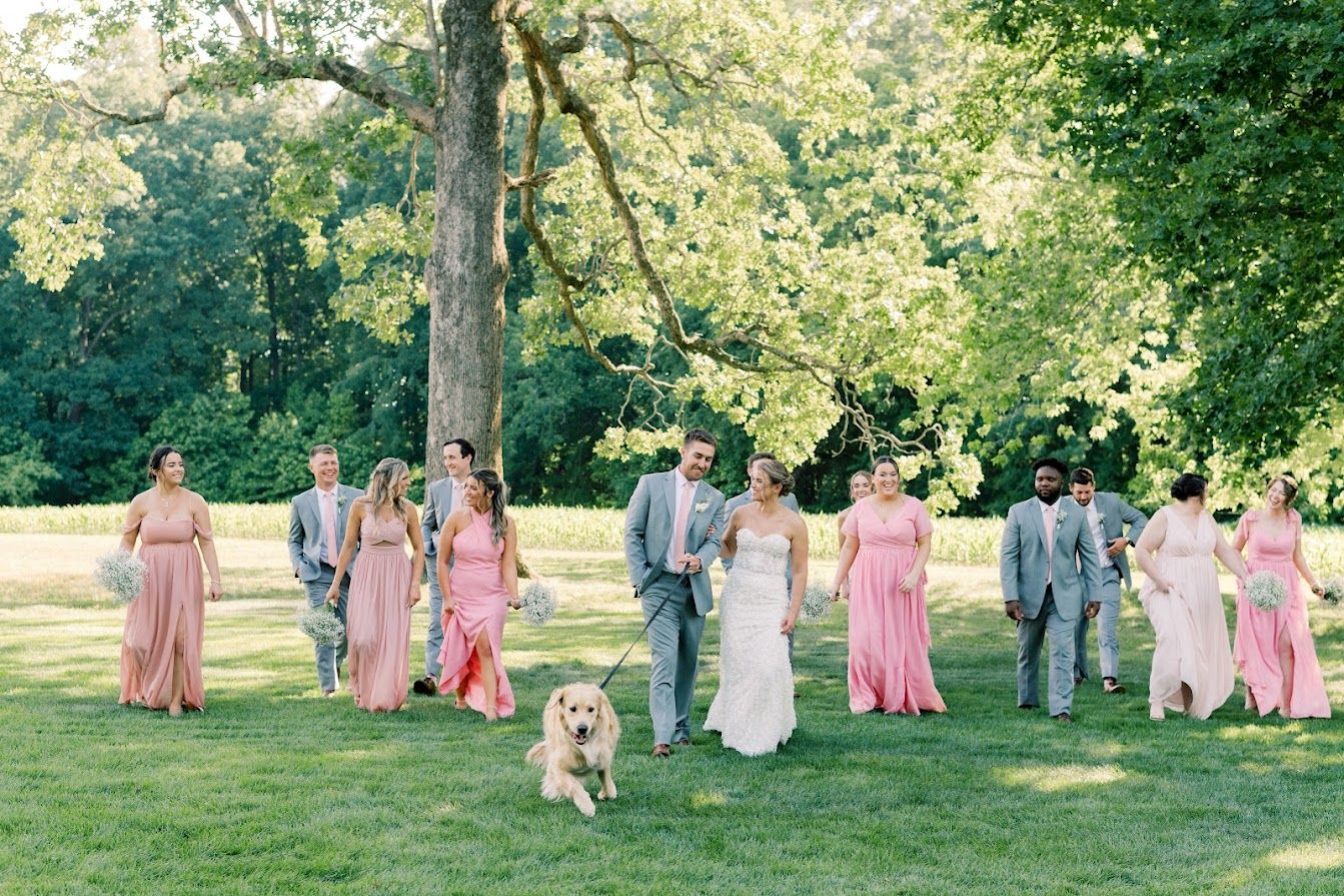 A bride and groom are walking with their wedding party and a dog.