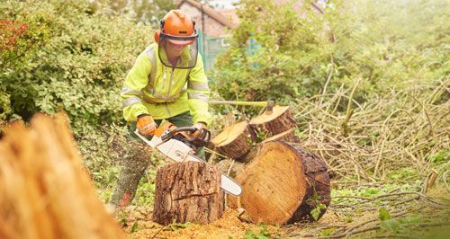  EL MARTILLO FERRETERÍAS