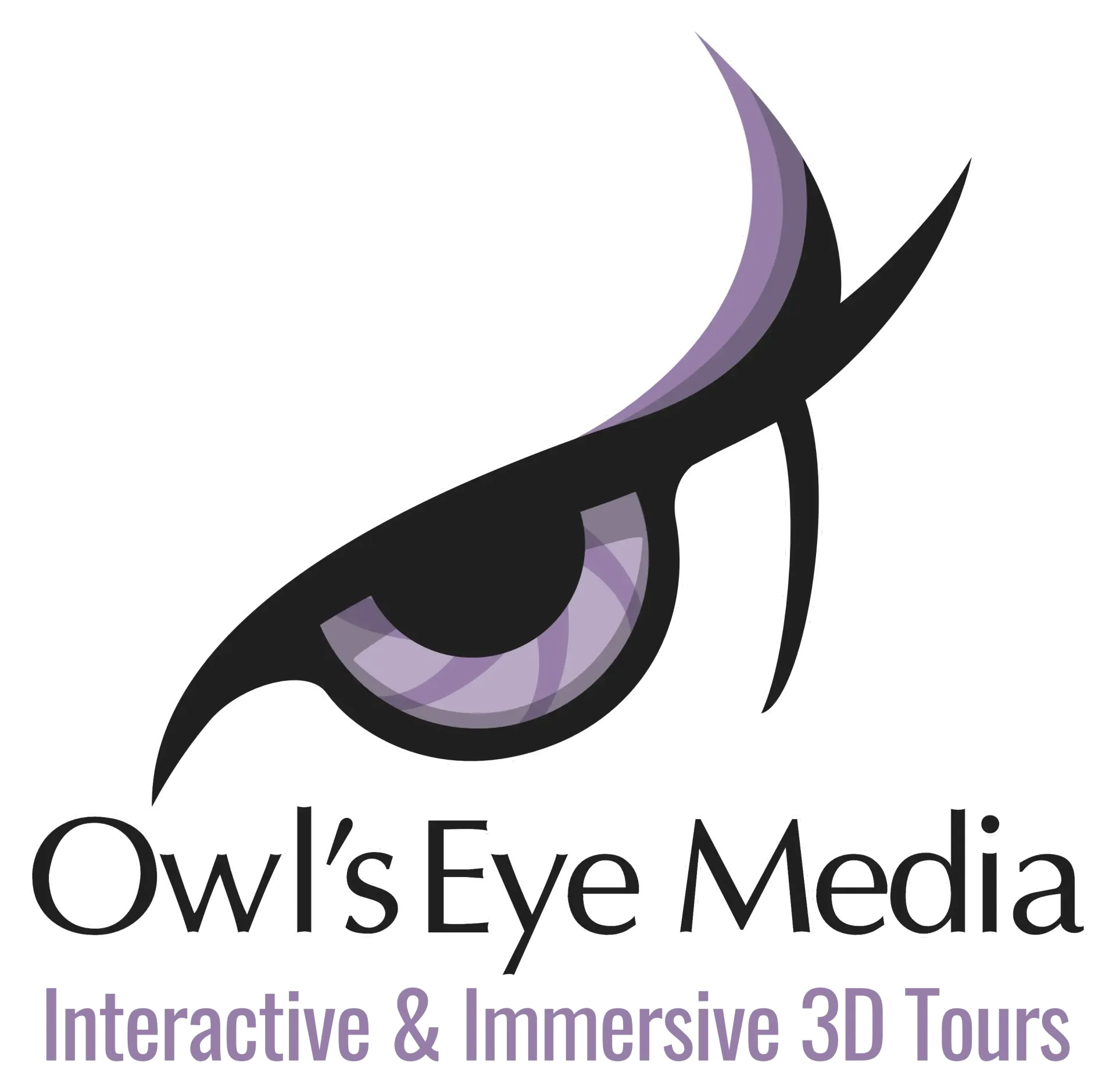 A logo for onyx owl immersive virtual property tours
