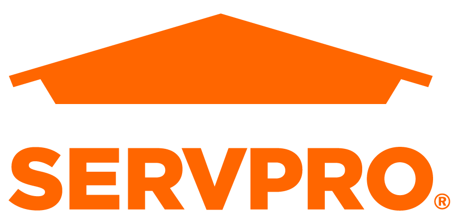 A logo for servpro with an orange roof on a white background