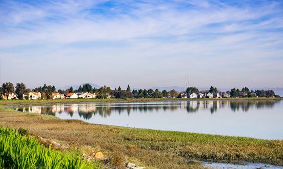 Shoreline — Chesterton, IN — Lake & Pond Biologists LLC