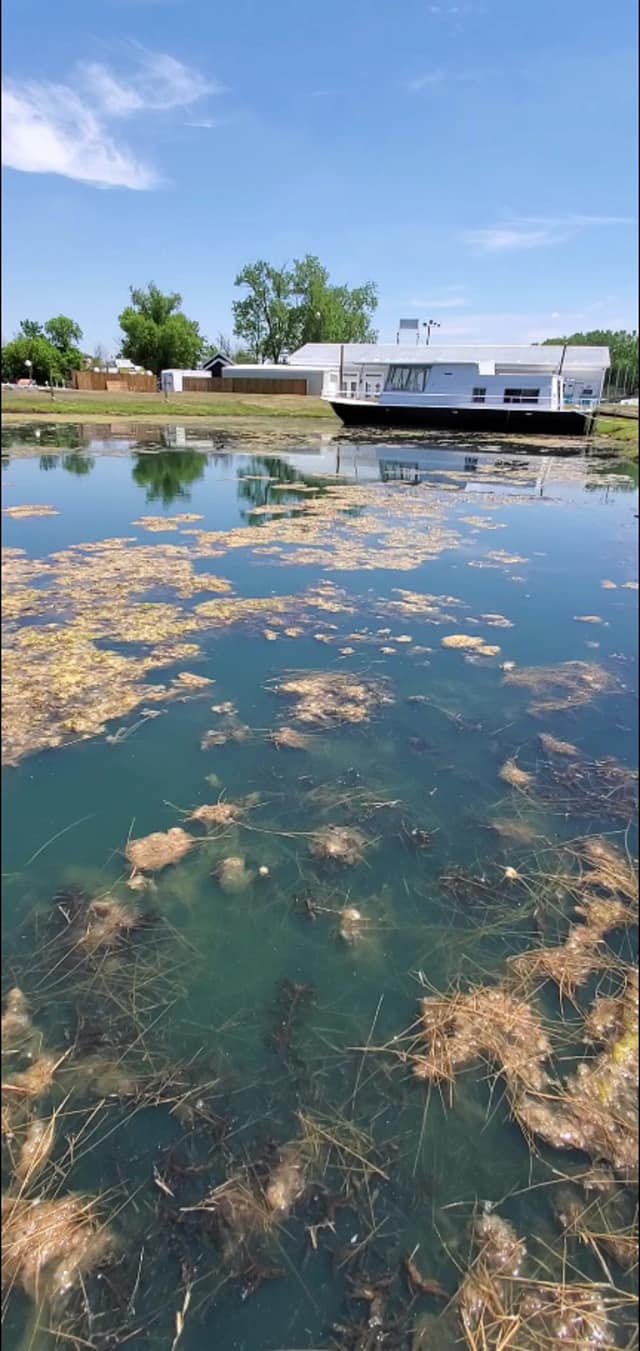 Pond Analysis — Chesterton, IN — Lake & Pond Biologists LLC