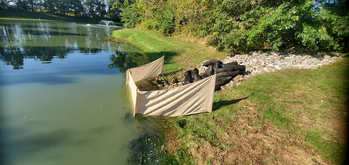 Fish — Chesterton, IN — Lake & Pond Biologists LLC