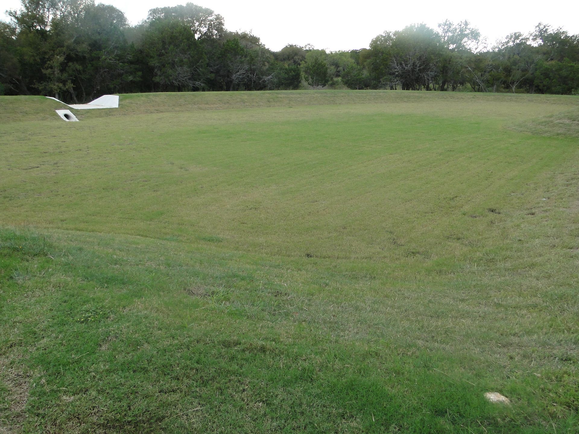 A man is mowing a lush green lawn with a red lawn mower.