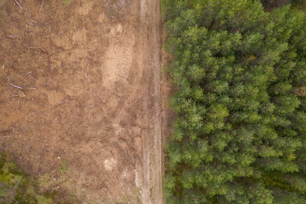 An aerial view of a deforested area next to a lush green forest.