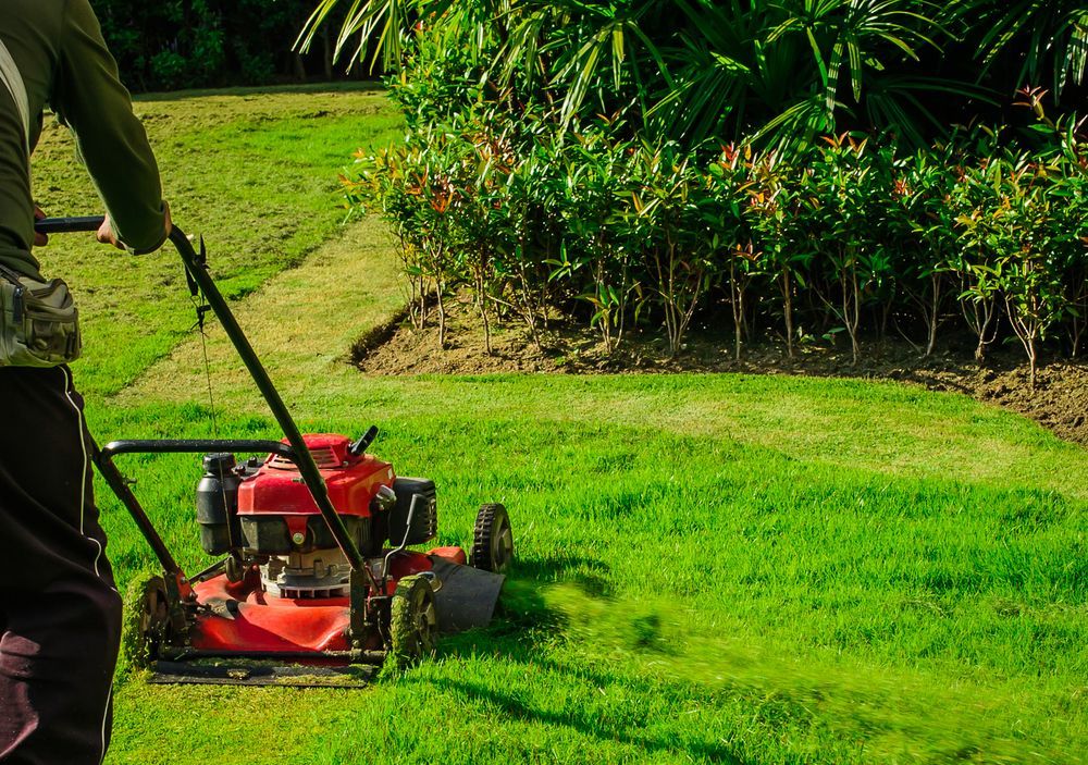 A man is mowing a lush green lawn with a red lawn mower.