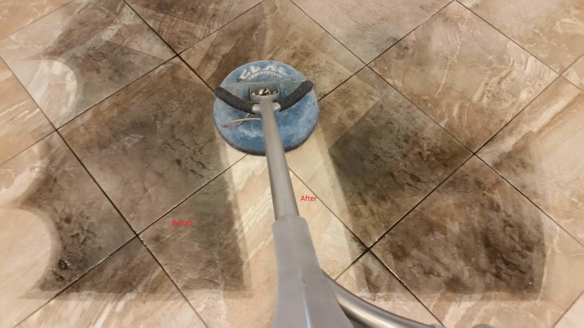 Stains — Punta Gorda, FL — Superior Carpet & Upholstery Cleaning Inc