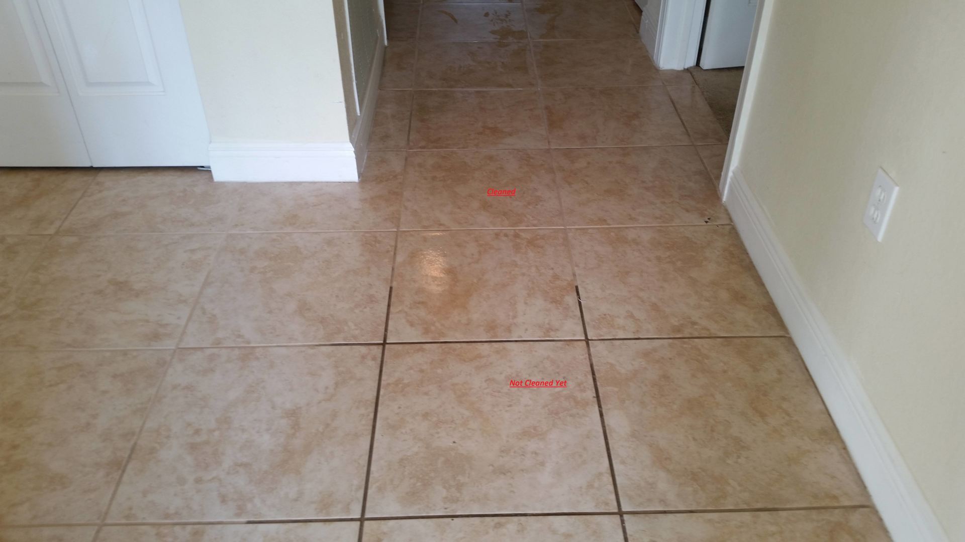 Cleaned Floor — Punta Gorda, FL — Superior Carpet & Upholstery Cleaning Inc