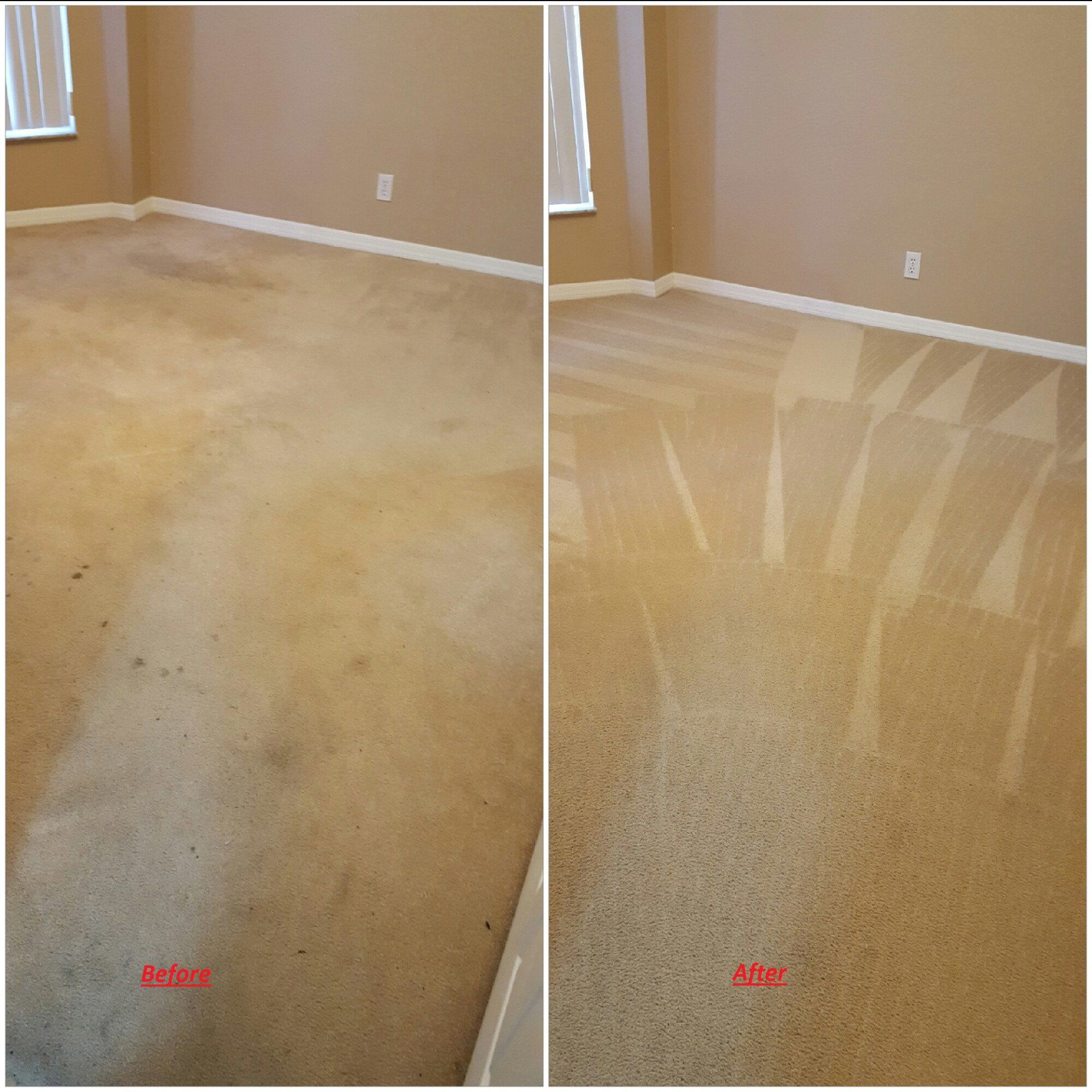 Before & After Floor Print — Punta Gorda, FL — Superior Carpet & Upholstery Cleaning Inc