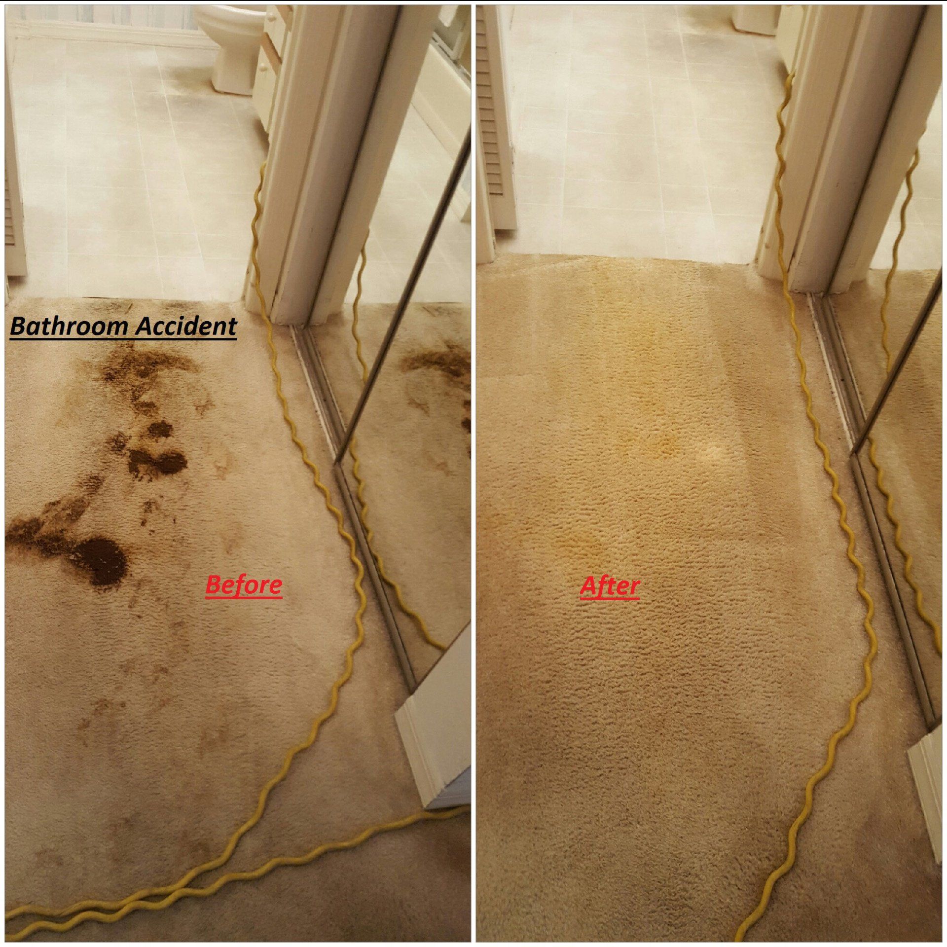 Before & After Bathroom Accident — Punta Gorda, FL — Superior Carpet & Upholstery Cleaning Inc