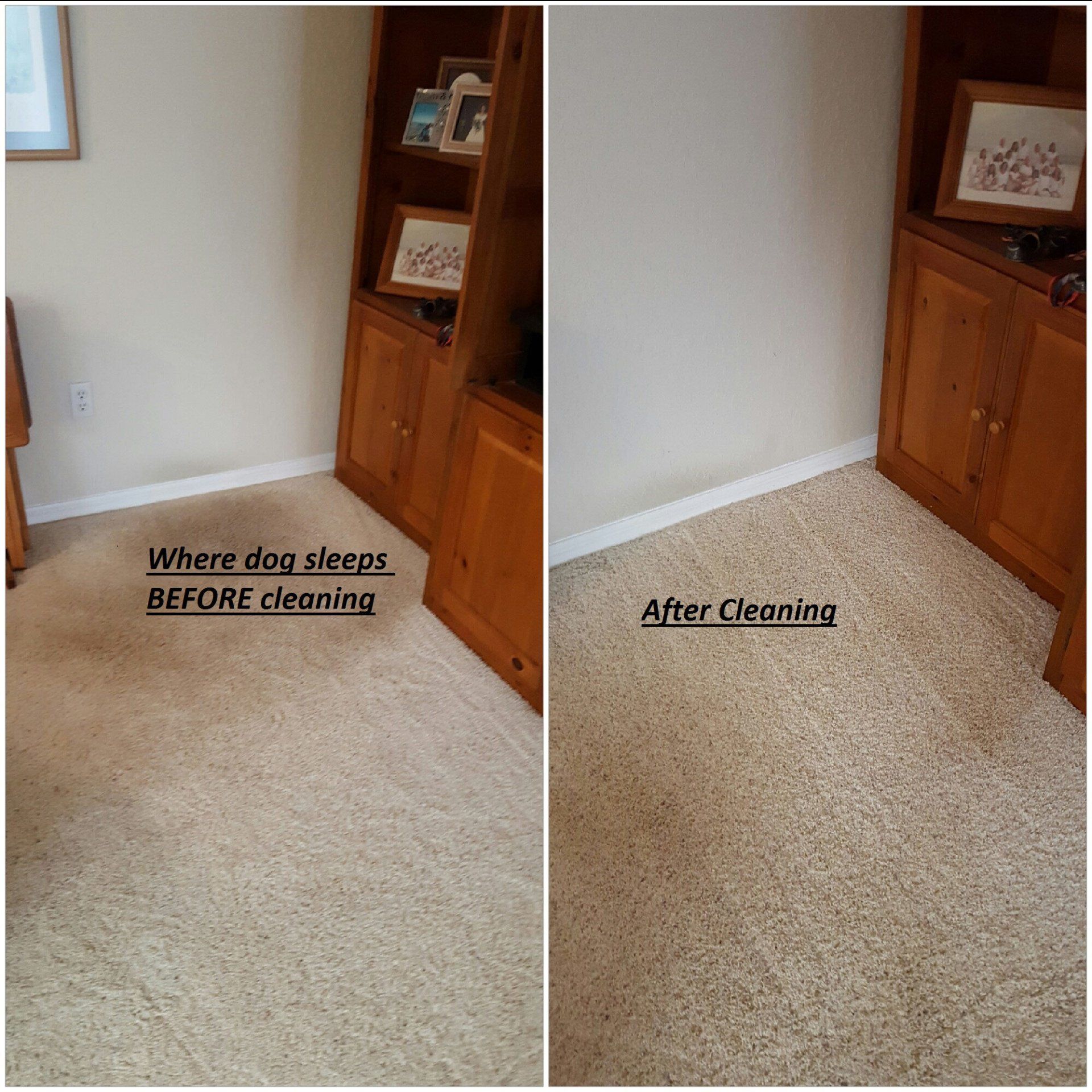 Before & After Cleaning Carpet — Punta Gorda, FL — Superior Carpet & Upholstery Cleaning Inc