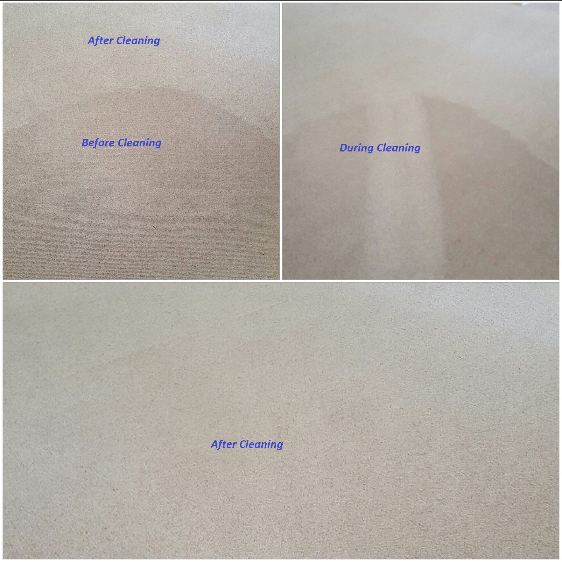 Before & After Rug — Punta Gorda, FL — Superior Carpet & Upholstery Cleaning Inc