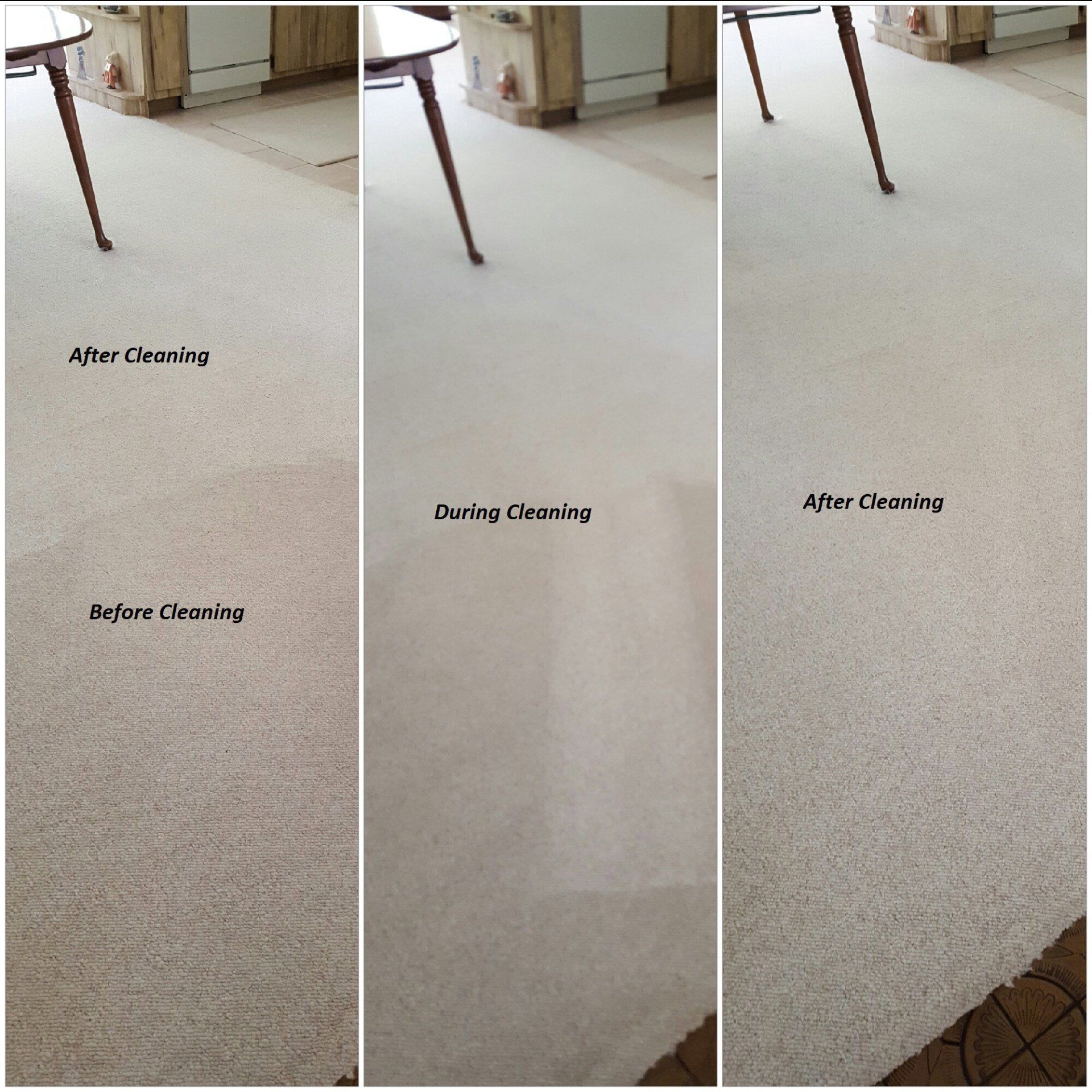 Before & After Floor Carpet — Punta Gorda, FL — Superior Carpet & Upholstery Cleaning Inc
