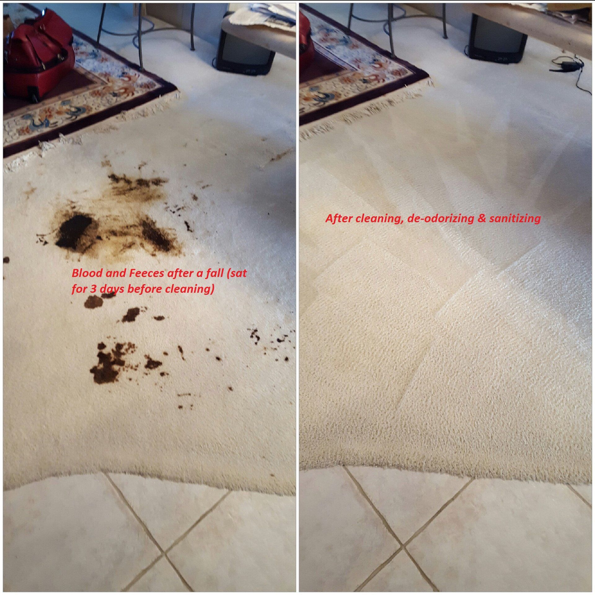 Before & After Blood and Feeces — Punta Gorda, FL — Superior Carpet & Upholstery Cleaning Inc