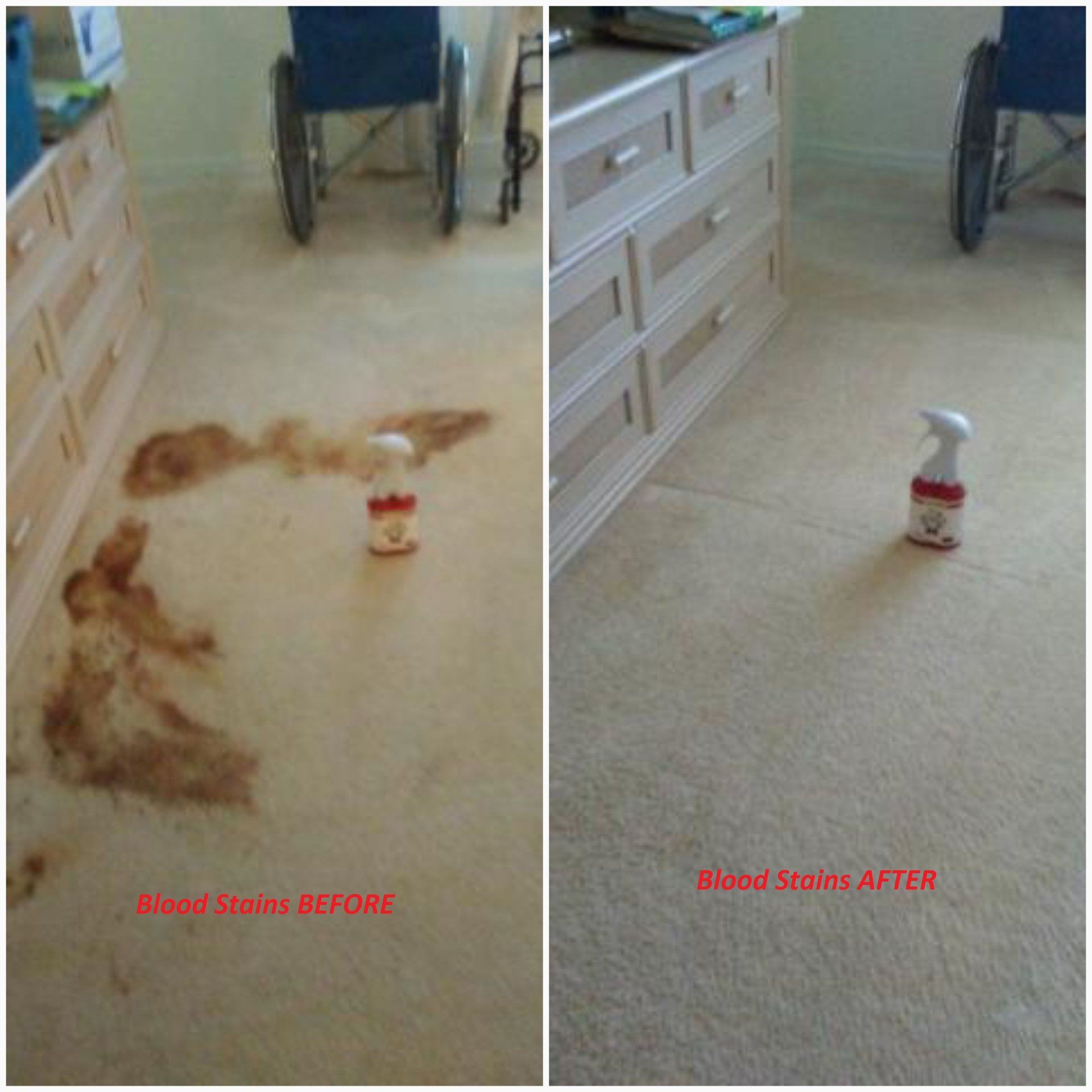 Before & After Blood Stains — Punta Gorda, FL — Superior Carpet & Upholstery Cleaning Inc