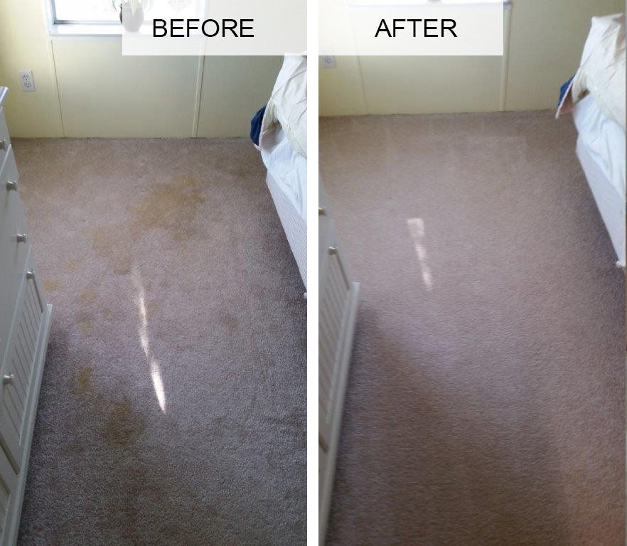 Before & After Stain — Punta Gorda, FL — Superior Carpet & Upholstery Cleaning Inc