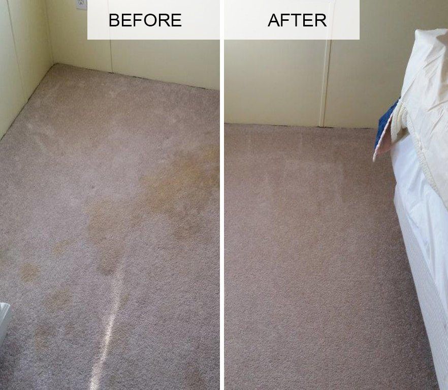 Before & After Soaked Carpet — Punta Gorda, FL — Superior Carpet & Upholstery Cleaning Inc