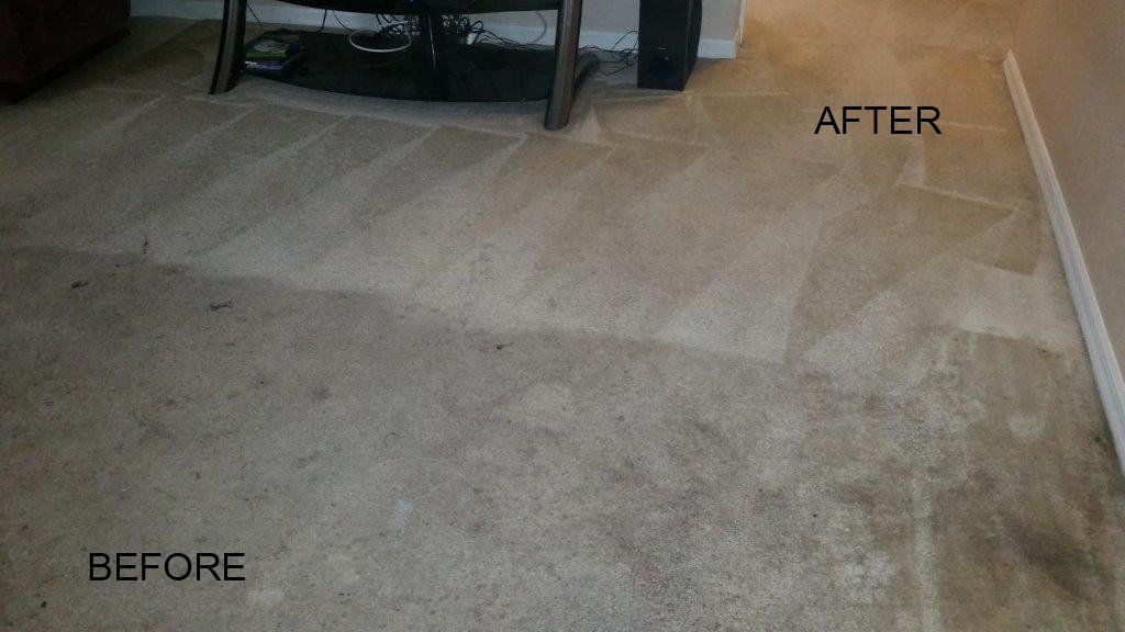 Before & After Floor — Punta Gorda, FL — Superior Carpet & Upholstery Cleaning Inc