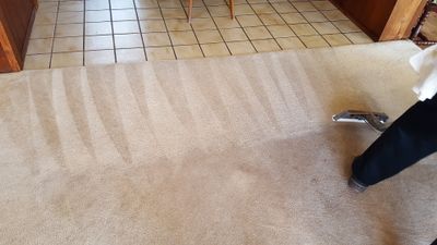 Wash The Car Carpet — Punta Gorda, FL — Superior Carpet & Upholstery Cleaning Inc
