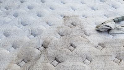 Disinfecting Mattress with Vacuum Cleaner — Punta Gorda, FL — Superior Carpet & Upholstery Cleaning Inc