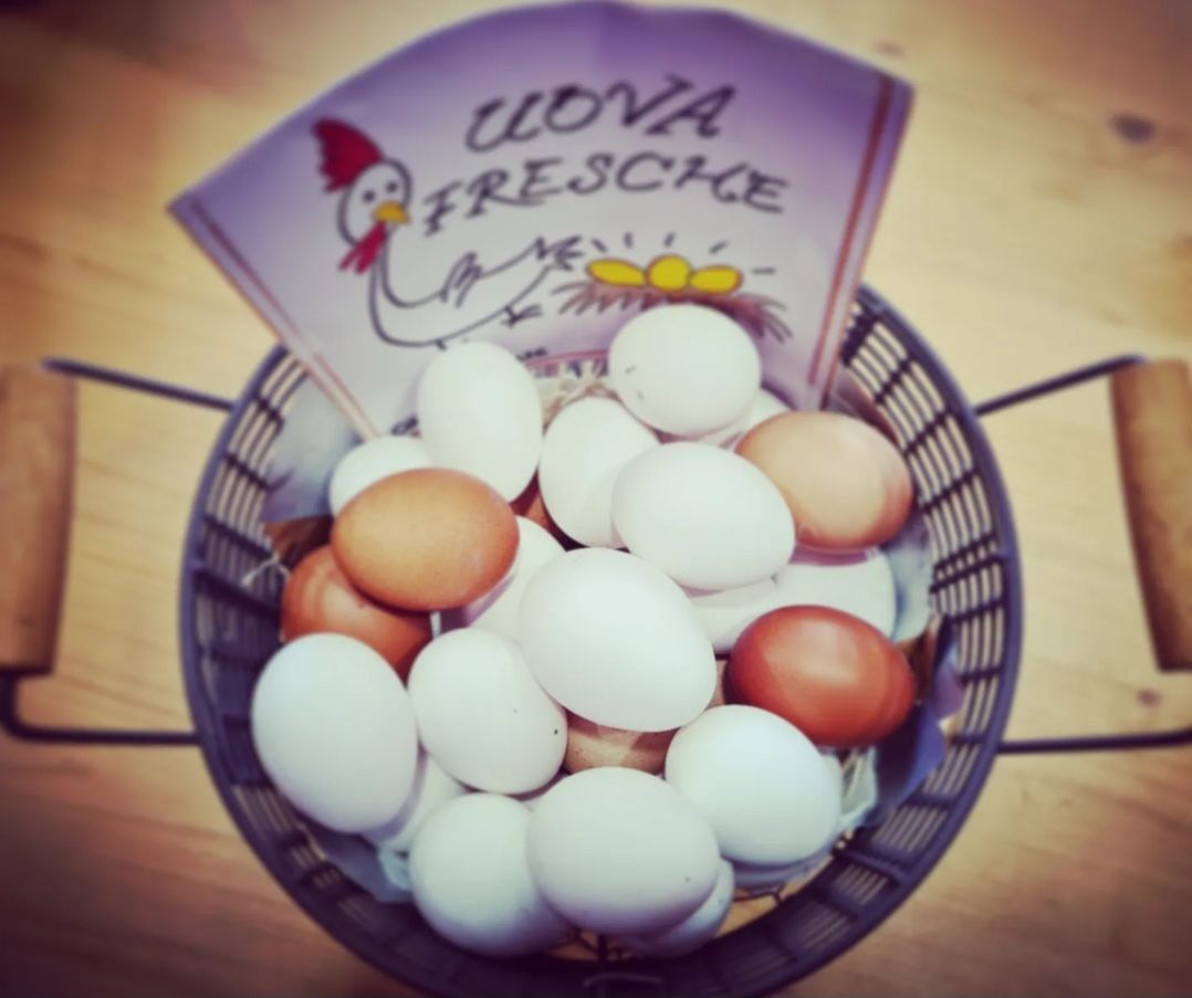uova fresche