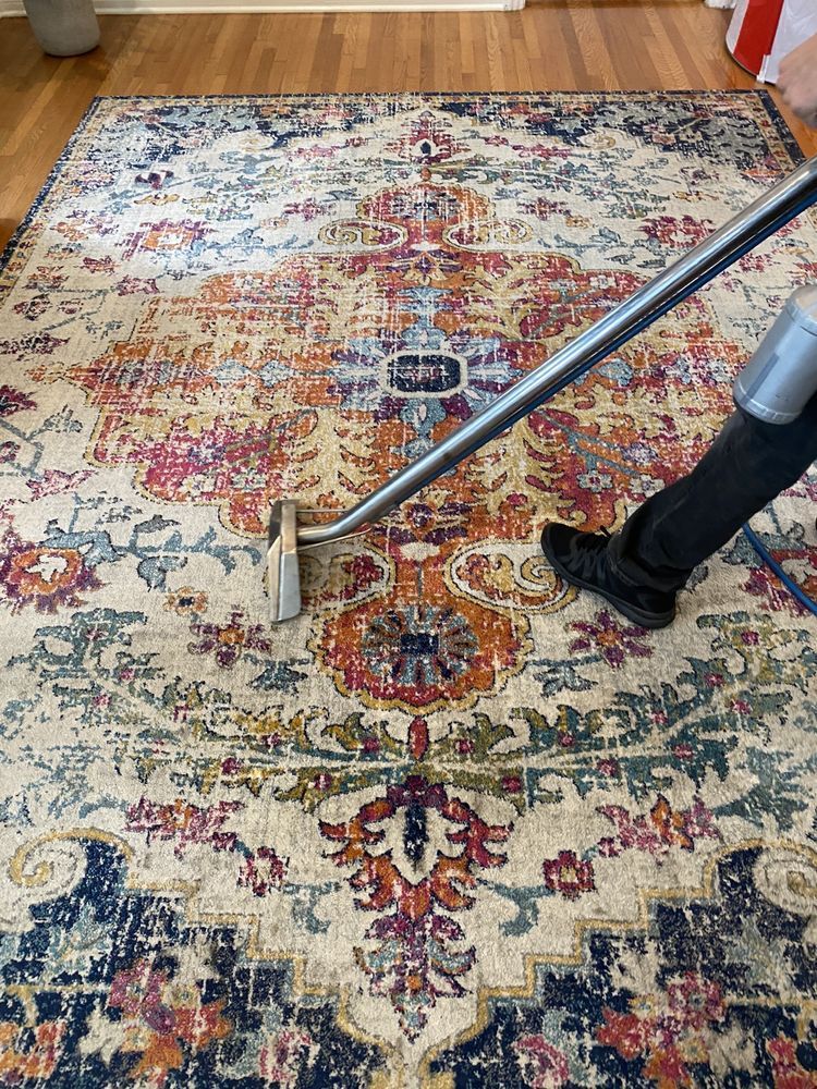 Person vacuuming a light rug in a bright living room, with a couch and window blinds nearby.