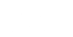 MDT+Logo+White