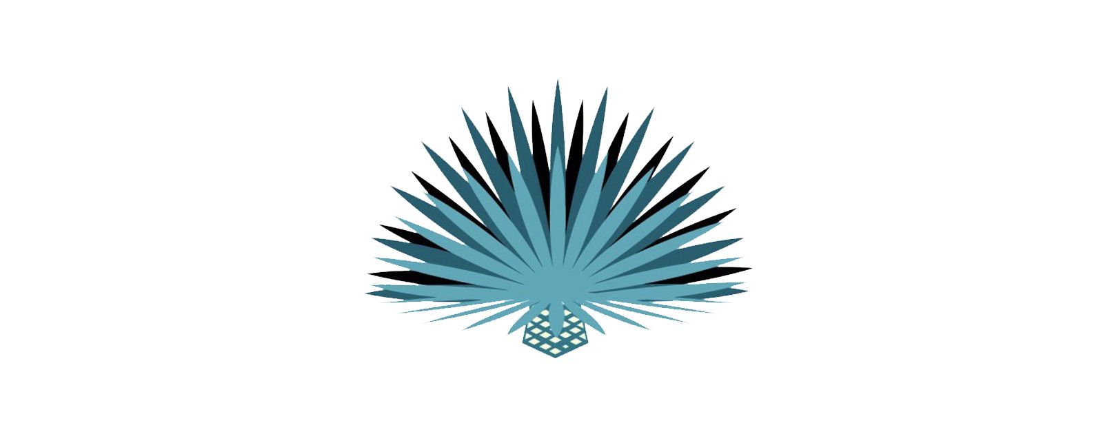 Menu Taqueria Jalisco Schenectady, NY Tequila Jalisco Mexican