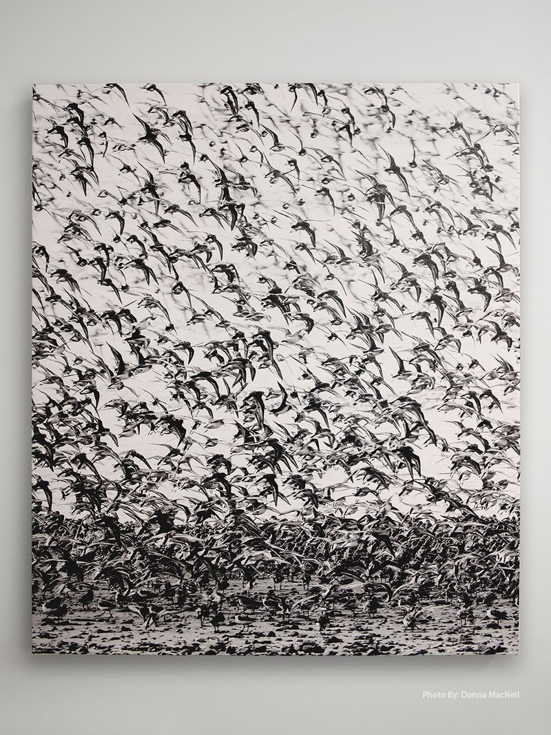 A black and white painting of a flock of birds flying in the sky.