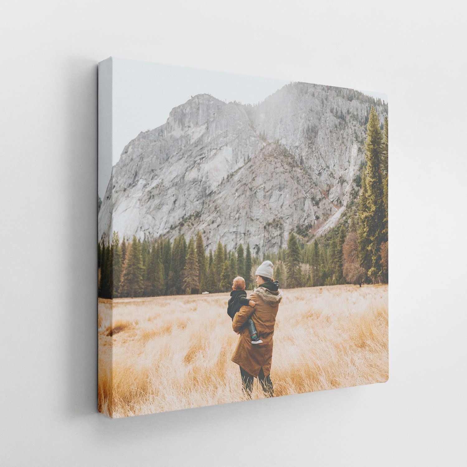 Split Photo Canvas Wraps image