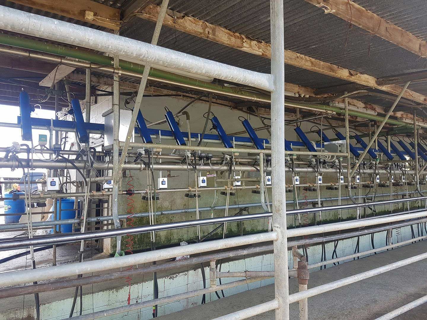 Industrial dairy barn with rows of milking stalls