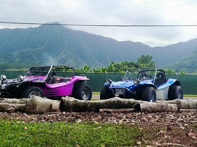 Two buggies are parked next to each other in a field with mountains in the background.