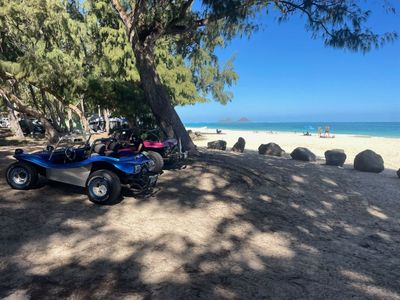 A blue buggy is parked on the beach next to a tree.