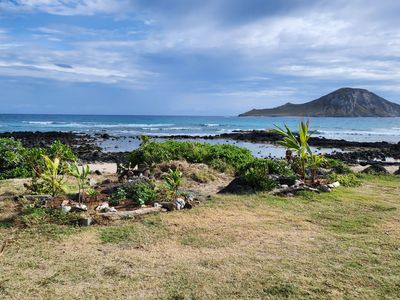 A grassy field with a view of the ocean and a small island in the distance.