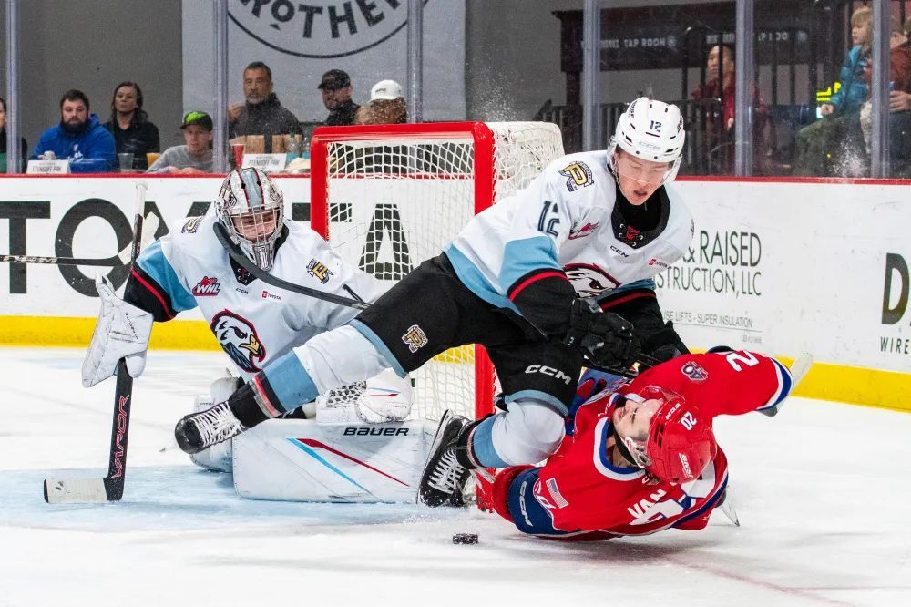 Hockey scouts and agents in Manitoba