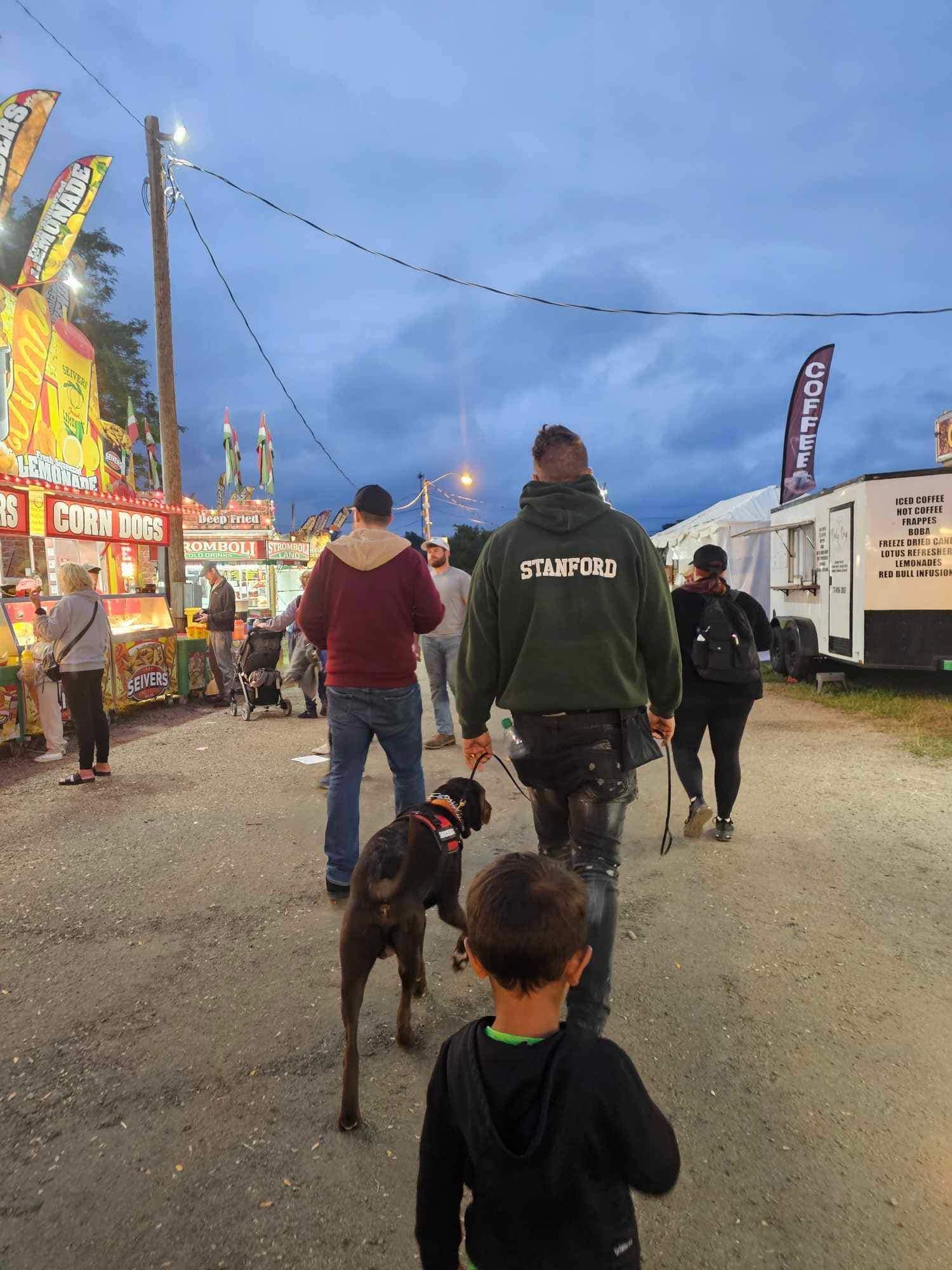 A group of people are walking their dogs at a carnival.