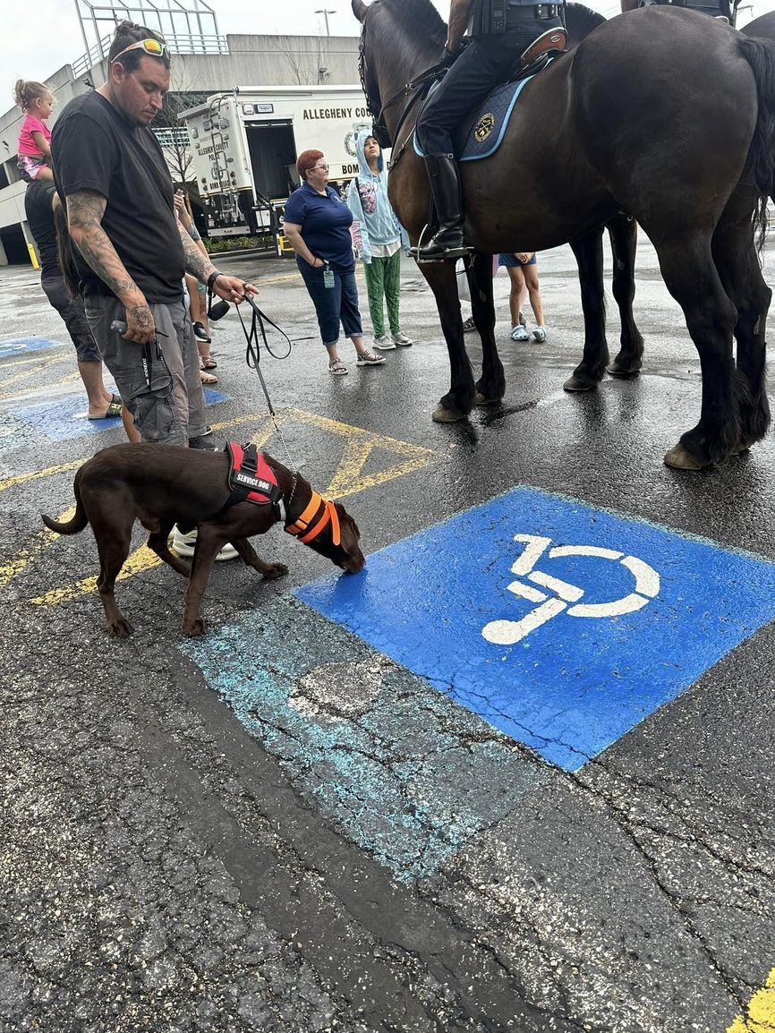 A man and a dog are sniffing a handicapped parking spot.