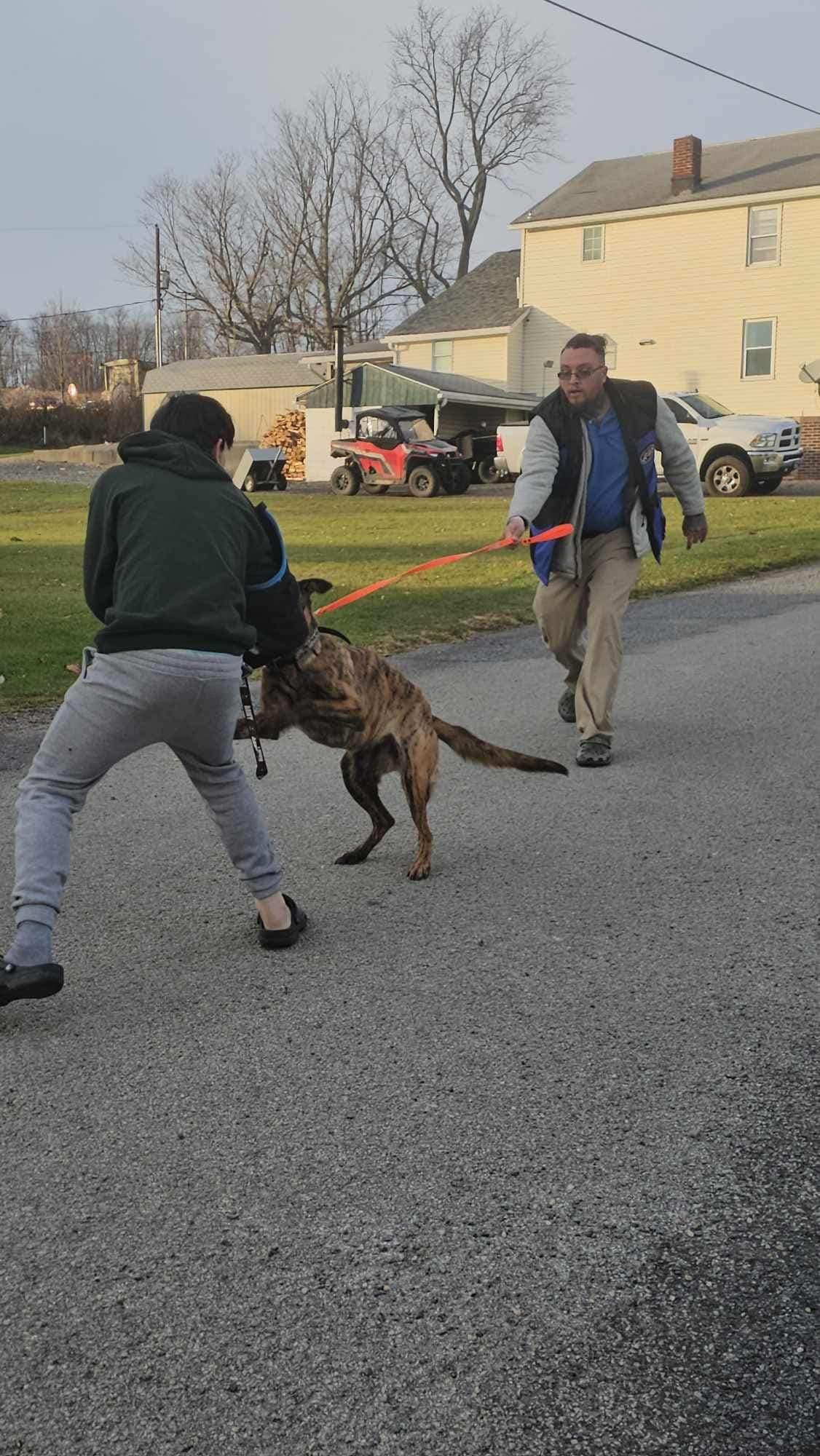 Two men are playing with a dog on a leash on a street.